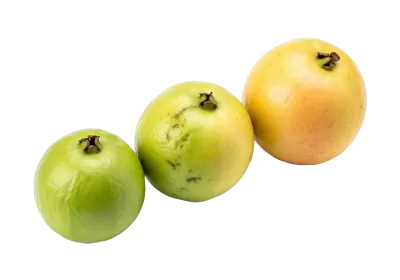 Imagen PNG para descargar